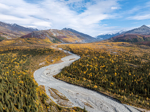 Aerial view of the Delta River winding through a vast landscape of autumn-colored forests and snow-capped mountains in Southeast Fairbanks, Alaska, United States.