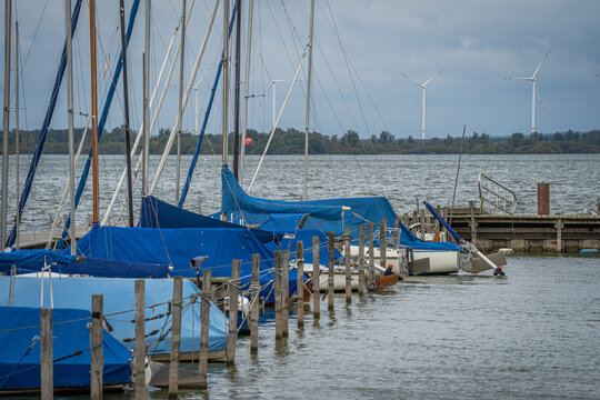 Eine Reihe von Segelbooten, sicher vert&auml;ut an einem Holzsteg im Hafen des D&uuml;mmer Sees, ist fast vollst&auml;ndig unter leuchtend blauen Planen verborgen. Ihre Masten ragen wie ein grafischer Wald in den be
