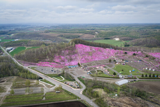 Aerial view of Higashimokoto Shibazakura Park with vibrant pink moss phlox covering the hillside, surrounded by green trees and fields in Ozora, Hokkaido, Japan.
