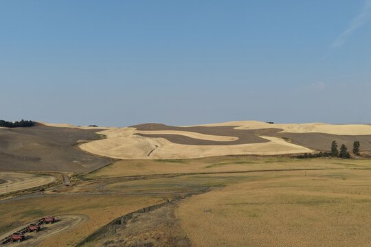 Aerial view of the rolling hills of the Palouse region, featuring golden wheat fields and dark fallow soil under a clear blue sky in Palouse, Washington, United States.