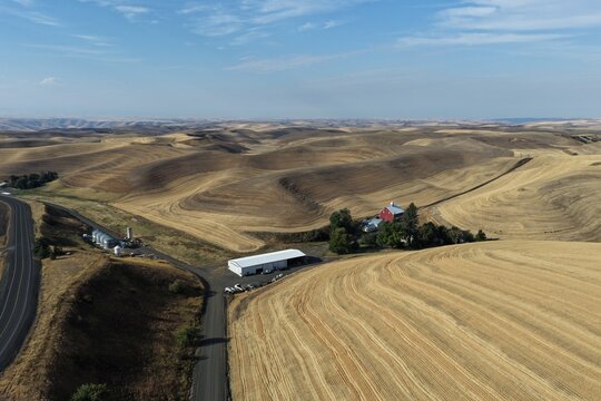Aerial view of a farm with a red barn and silos surrounded by golden wheat fields in the rolling hills of the Palouse region in Whitman County, Washington, United States.
