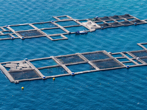 Aerial view of fish farming cages floating in the deep blue sea with a small service boat moored nearby in Antibes, Provence-Alpes-Cote d'Azur, France.