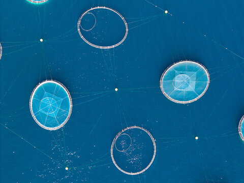 Aerial view of circular fish farm cages floating in the deep blue Mediterranean sea off the coast of Antibes, Provence-Alpes-Cote d', France.