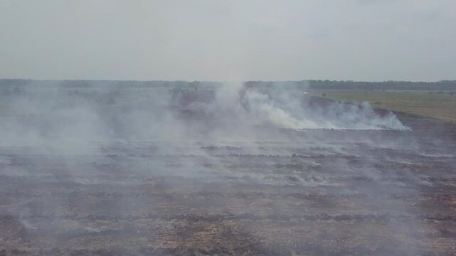 Aerial footage of a massive peat land forest fire causing severe haze disaster