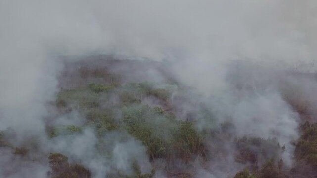 Aerial footage of a massive peat land forest fire causing severe haze disaster