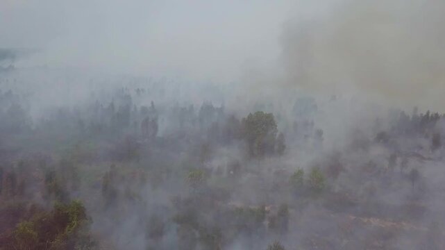 Aerial footage of a massive peat land forest fire causing severe haze disaster
