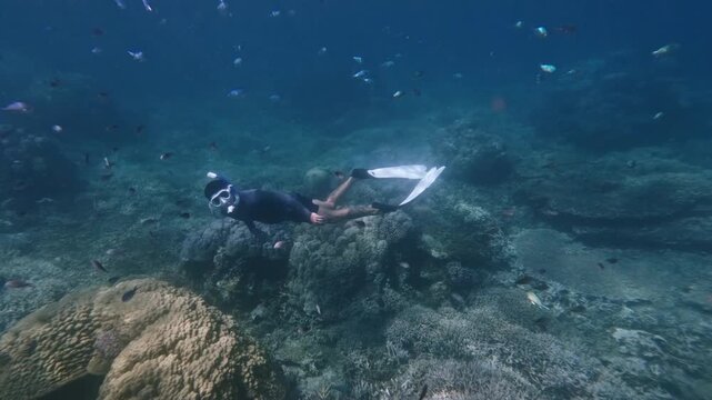 Tracking shot to a freediver swimming among schools of ternate chromis (chromis ternatensis) and green chromis (chromis viridis) in a carefree playful way over a vibrant coral reef. Dauin, Philippines