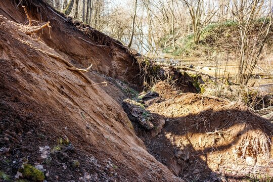 Dynamic spring landslide, a massive sandy slope collapsed into a ravine, revealing raw earth and roots by a swollen river. Powerful erosion aftermath