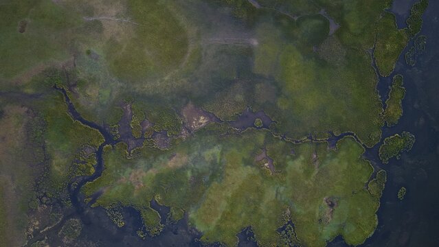 Aerial view of Song-Kul lake with lush green wetlands and winding water channels in Naryn Region, Kyrgyzstan.