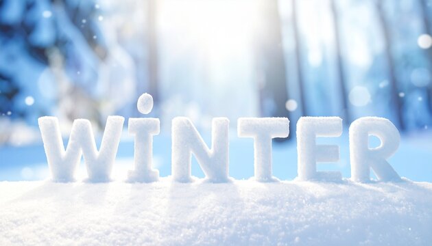 Winter Wonderland with Snow-Covered Letters Spelling 'WINTER' in a Bright Forest Scene