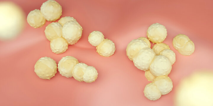 MRSA, Staphylococcus aureus, Coccus, Diplococcus, Streptococcus, Golden staph. 3d render
