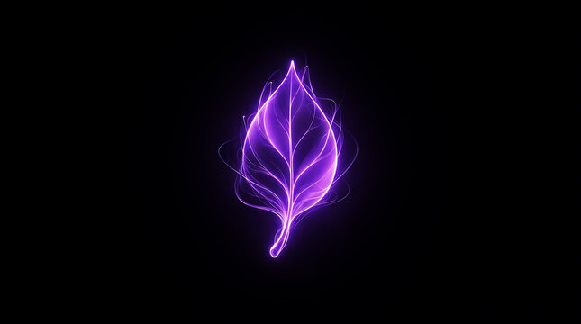 Glowing purple leaf shape with light energy lines on a dark black background for design art