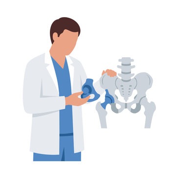 Orthopedist Doctor Examining a Human Hip Joint Replacement Model for Patient Consultation Orthopedics Medical Education Surgical Planning and Skeletal System Healthcare Vector Illustration