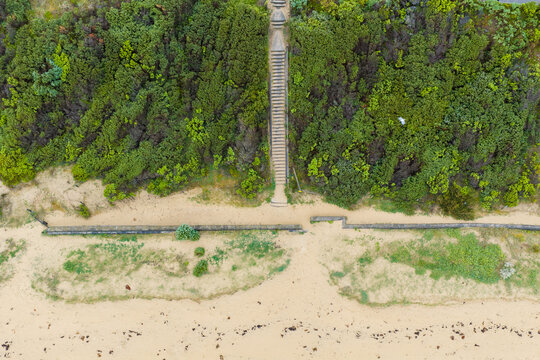 Aerial view of a stairs between vegetation leading down to a sandy beach