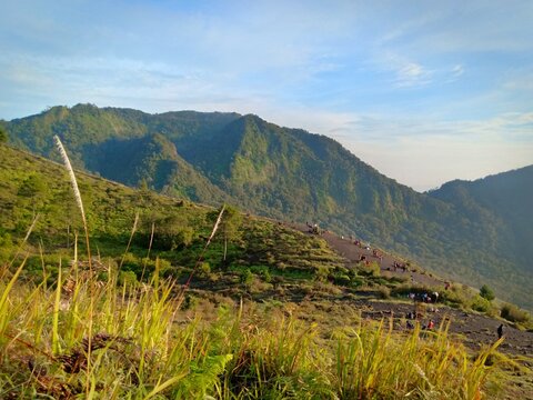 Grassy mountain slopes in soft morning light