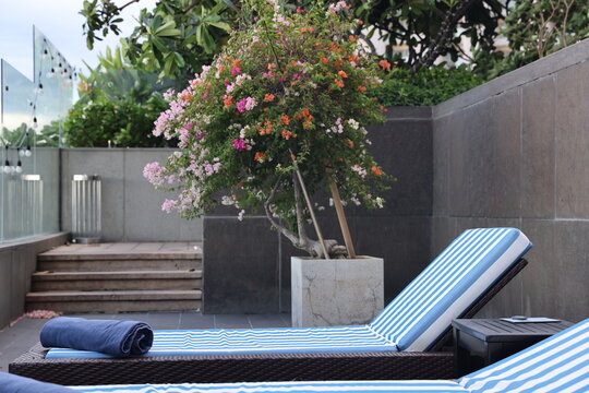 pool loungers