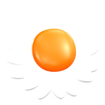 Simple white daisy flower with vibrant orange center