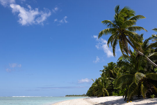 Idyllic tropical island beach lined with leaning coconut palms, white sand and turquoise lagoon