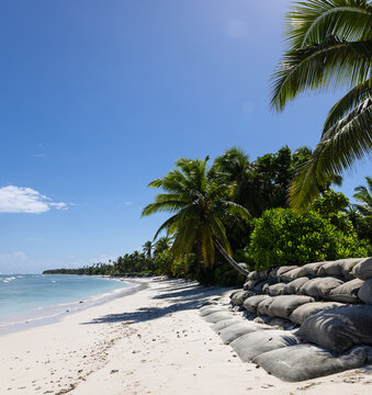 Sandbag seawall barrier protecting tropical beach shoreline with palm trees from ocean erosion