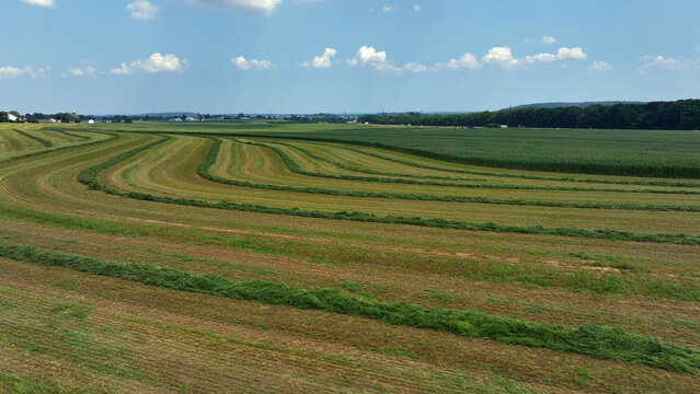 Aerial view of Salunga farmland with harvested hay rows and green fields under a blue sky in Salunga, Pennsylvania, United States.