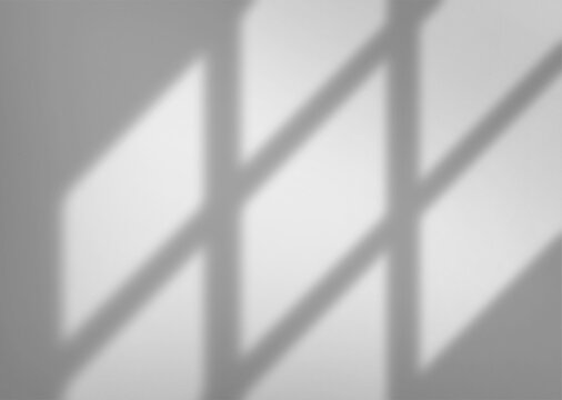 Window overlay