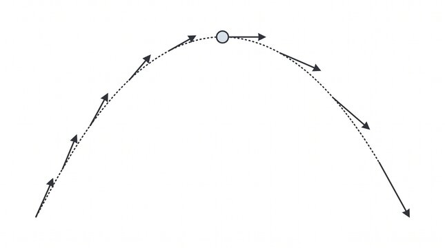 Projectile Motion Physics Diagram with Velocity Vectors