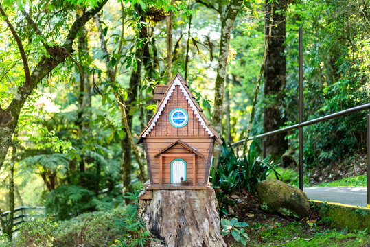 Charming miniature wooden house on a tree stump in the forest
