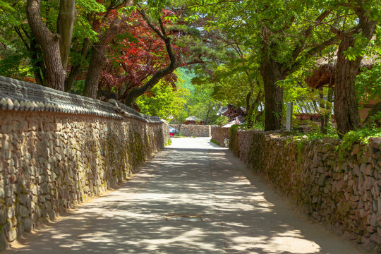 Path with stone walls at a Korean folk village