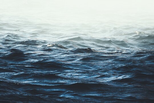 Deep Blue Ocean Waves Fading into Soft White Light