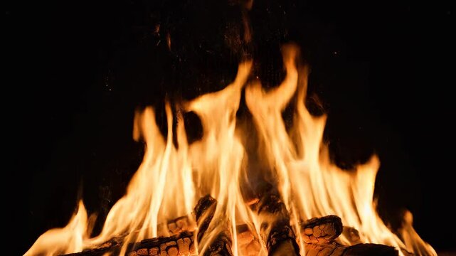 Campfire flames dancing with logs against a dark background with embers glowing during a cold night