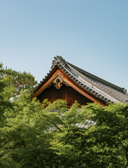 Fototapeta premium Eikando Temple in Kyoto, Japan
