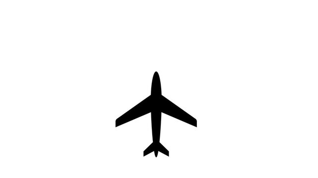 vector illustration of a bird