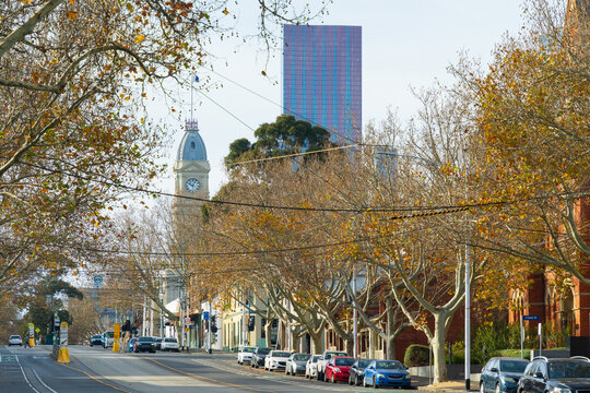 Cars parked along a city street Autumn trees and skyscrapers behind