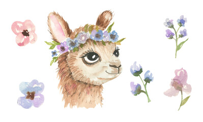 Cute watercolor llama - cute little alpaca with floral crown, blue purple flowers, green leaves. Illustration for nursery, baby shower, children card. © NATALIA