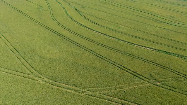 Aerial view of lush green agricultural fields with distinct tractor tracks forming curved patterns in the landscape of Greyton, Western Cape, South Africa.