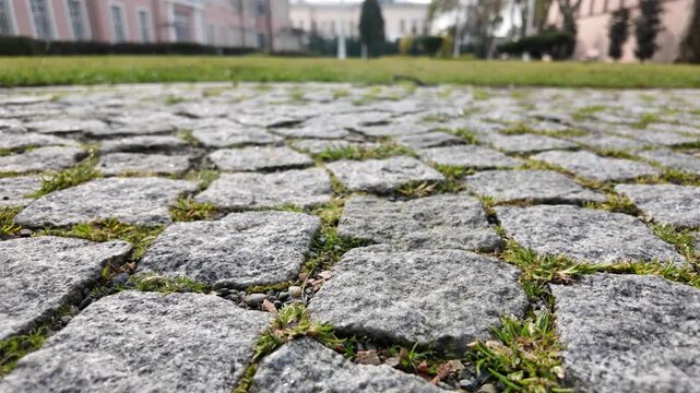 Low angle motion footage of cobblestone path with grass growing between stones in park