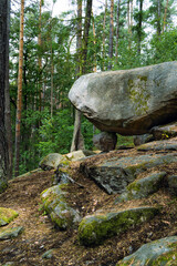Large granite balancing boulder perched on rocks in a pine forest. © Tom