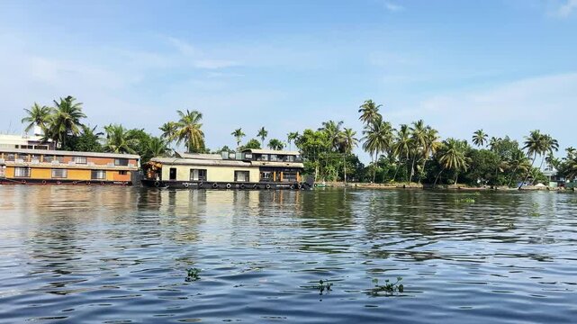 Traditional Kerala Houseboats Moored Along Palm Lined Riverside in Alleppey Backwaters. Low Angle View Across Rippling Backwater Lake Towards Moored Floating Houseboats.