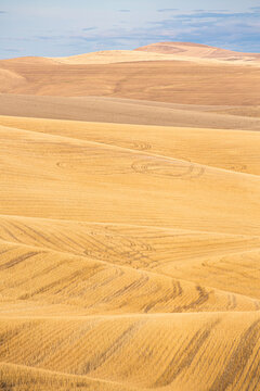 Golden harvested fields on rolling agricultural hills