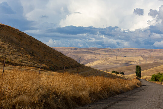 A winding country road through rolling golden hills