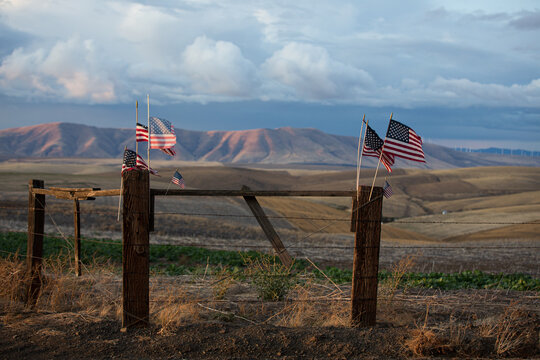 American flags decorate a rustic fence in the countryside
