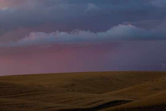Rolling golden hills under a dramatic sunset sky