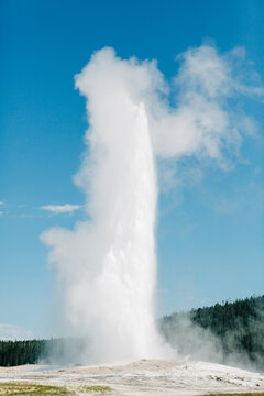 Old Faithful geyser erupting in Yellowstone National Park