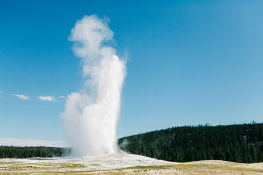 Old Faithful geyser erupting in Yellowstone