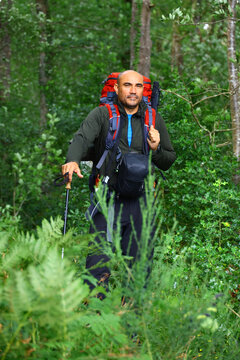 Mature man with a backpack hiking in a lush green forest