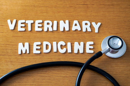 The words veterinary medicine formed with wooden letters, accompanied by a black medical stethoscope