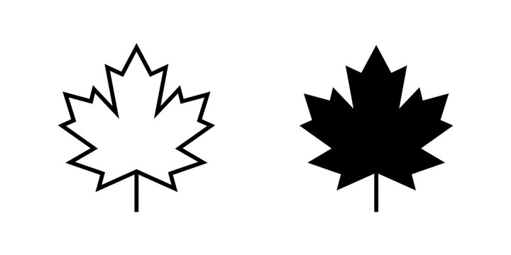 Minimalist maple leaf vector icons, black autumn leaf outline and silhouette graphics, natural maple leaf symbol set for logo design