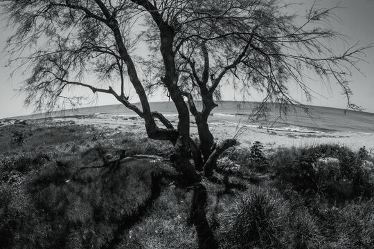 paesaggio