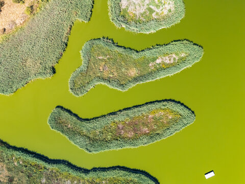 Aerial view of Sosto Salt Lake nature reserve in Szekesfehervar, Hungary, with wetlands, reed beds, lake islands and shoreline habitat in a protected freshwater sanctuary.