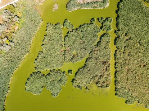 Aerial view of Sosto Salt Lake wetlands in Szekesfehervar, Hungary, with reed beds, lake islands and migratory bird habitat in a protected freshwater nature reserve.